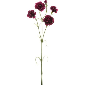 FA -7264 �J�[�l�[�V�����X�v���[ ���l�f�B�X�v���C�~���[�W�A�� 50480755