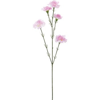 FS -7891 J[l[VXv[ lfBXvC~[WA 50480834