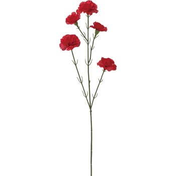 FS -7891 J[l[VXv[ lfBXvC~[WA 50480843