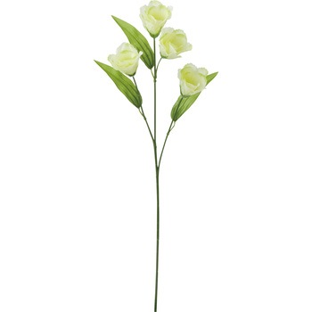 FF -2670 �g���R�L�L���E ���l�f�B�X�v���C�~���[�W�A�� 50481026