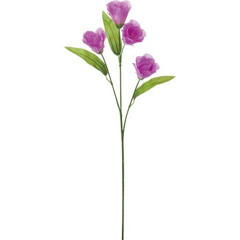 FF -2670 �g���R�L�L���E ���l�f�B�X�v���C�~���[�W�A�� 50481044