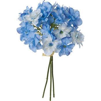 FB -2507 ���A�[�h�n�C�h�����W�A�o���h�� ���l�f�B�X�v���C�~���[�W�A�� 50481665