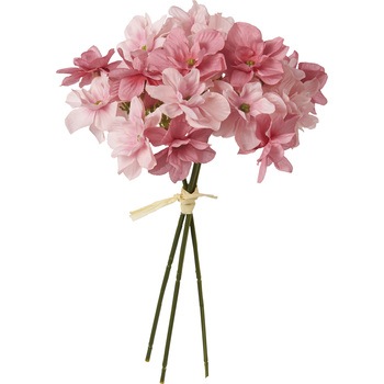 FB -2507 ���A�[�h�n�C�h�����W�A�o���h�� ���l�f�B�X�v���C�~���[�W�A�� 50481674