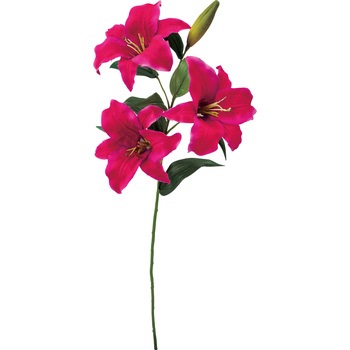 FA -7202 ロイヤルカサブランカ 横浜ディスプレイミュージアム 50487326