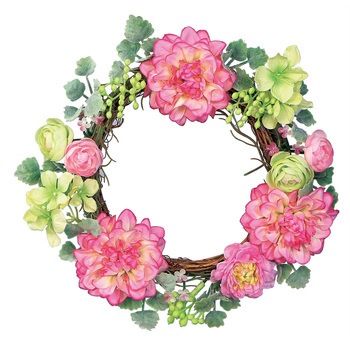 FBC-8145 �_���A���[�X ���l�f�B�X�v���C�~���[�W�A�� 50488026