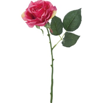 FFH-0009 �G���K���g���[�Y ���l�f�B�X�v���C�~���[�W�A�� 50490528