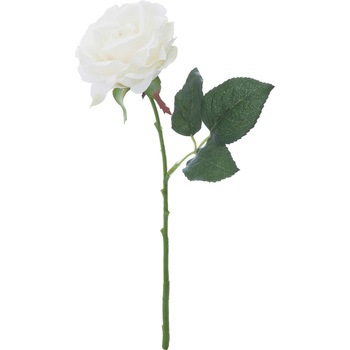 FFH-0009 �G���K���g���[�Y ���l�f�B�X�v���C�~���[�W�A�� 50490537