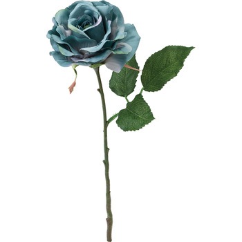 FFH-0022 �G���K���g���[�Y ���l�f�B�X�v���C�~���[�W�A�� 50490564