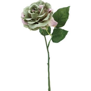 FFH-0022 エレガントローズ 横浜ディスプレイミュージアム 50490598