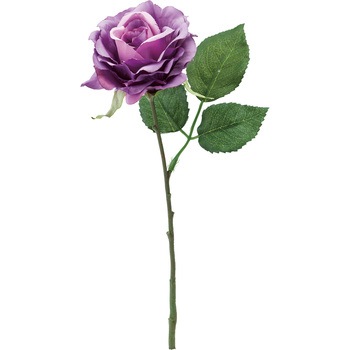 FFH-0022 �G���K���g���[�Y ���l�f�B�X�v���C�~���[�W�A�� 50490625