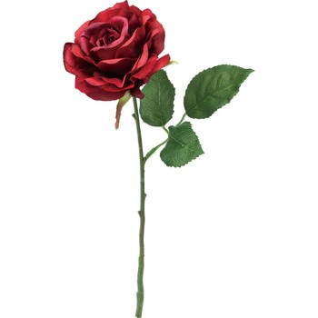 FFH-0022 �G���K���g���[�Y ���l�f�B�X�v���C�~���[�W�A�� 50490634