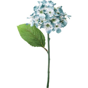 FFH-0039 �n�C�h�����W�A ���l�f�B�X�v���C�~���[�W�A�� 50490738