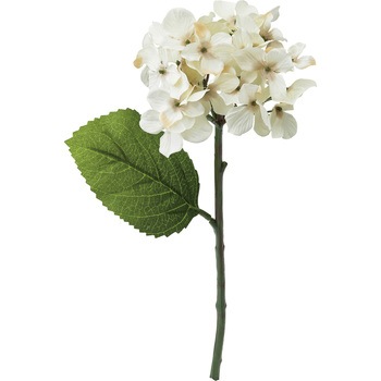 FFH-0039 �n�C�h�����W�A ���l�f�B�X�v���C�~���[�W�A�� 50490747