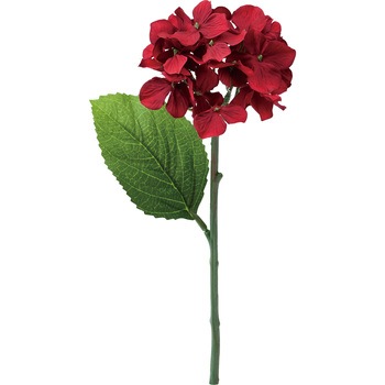 FFH-0039 �n�C�h�����W�A ���l�f�B�X�v���C�~���[�W�A�� 50490783