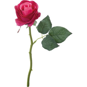 FFH-0018 [Y lfBXvC~[WA 50490826