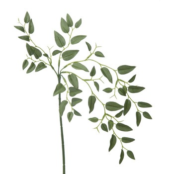 FGH-0002 �X�}�C���b�N�X ���l�f�B�X�v���C�~���[�W�A�� 50491614