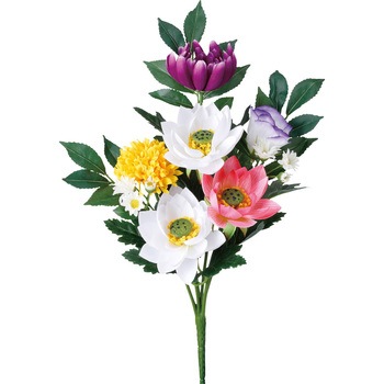 FP -0812 ���ԃu�b�V�����[�^�X(2P) ���l�f�B�X�v���C�~���[�W�A�� 50492095