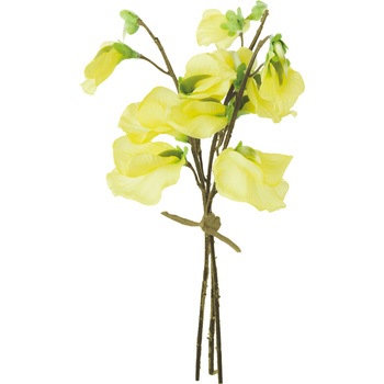 FS -7796 �X�C�[�g�s�[�o���` ���l�f�B�X�v���C�~���[�W�A�� 50492576