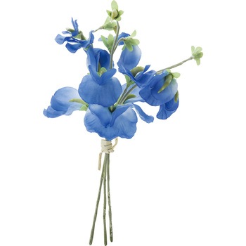 FS -7796 �X�C�[�g�s�[�o���` ���l�f�B�X�v���C�~���[�W�A�� 50492603