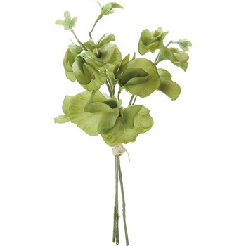 FS -7796 �X�C�[�g�s�[�o���` ���l�f�B�X�v���C�~���[�W�A�� 50492619