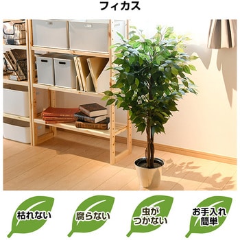 Bk 7042 お手入れ不要の人工観葉植物 フェイクグリーン 鉢付き 1個 キシマ 通販サイトmonotaro