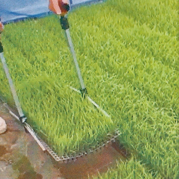 ナエキャッチポット用 ホクエツ
