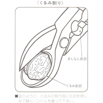 くるみ割り(ぎんなん兼用) アークランドサカモト