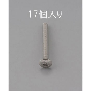 M2 x10mm トラス頭小ねじ(ステンレス製/17本) エスコ