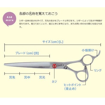 200955 カーブシザー 6．8インチカーブ ”Zak” ドリーム産業 長さ18.5cm