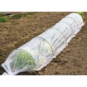 - ���Ă���N�|���V�[�g ���r�j�[�� 50569874