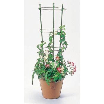 - �����O�x�� ���r�j�[�� 50569944