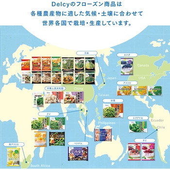 [冷凍]Delcy 塩あじえだまめ 400g 日本アクセス