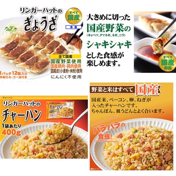 [冷凍] リンガーハット 詰め合わせセット リンガーハット