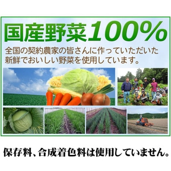 [冷凍]リンガーハットの野菜たっぷりちゃんぽん 395g リンガーハット