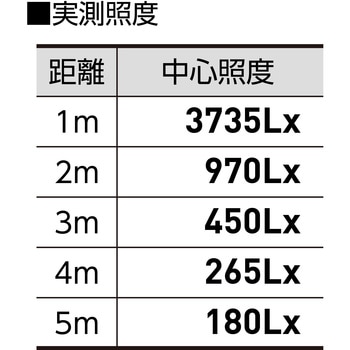 フラットライト70W常設用黒 日動工業