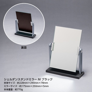 木製スタンドミラーDX 堀内鏡工業