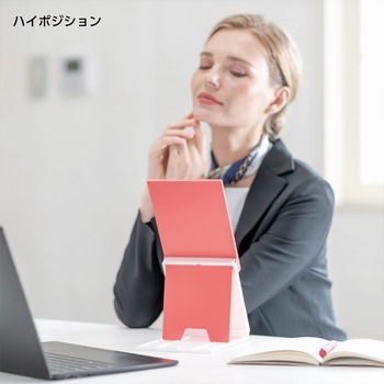 2WAYコンパクトスタンドナピュアミラー 堀内鏡工業