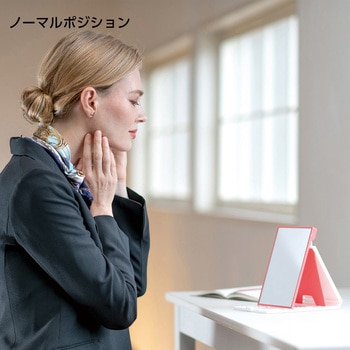 2WAYコンパクトスタンドナピュアミラー 堀内鏡工業