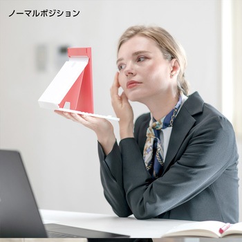 2WAYコンパクトスタンドナピュアミラー 堀内鏡工業