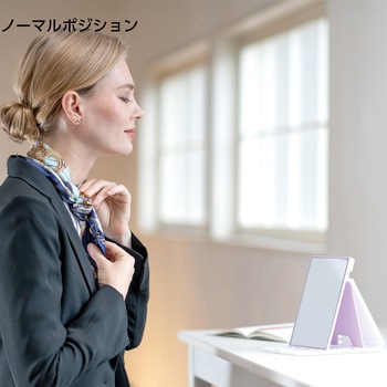 2WAYコンパクトスタンドナピュアミラー 堀内鏡工業