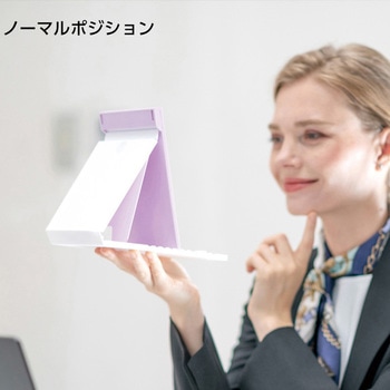 2WAYコンパクトスタンドナピュアミラー 堀内鏡工業