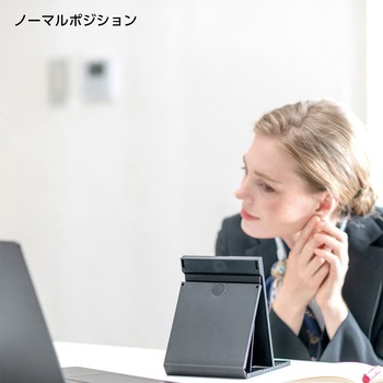 2WAYコンパクトスタンドナピュアミラー 堀内鏡工業