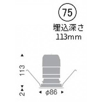 ベースダウンライト 鏡面マットコーン C100/C150 ENDO(遠藤照明)
