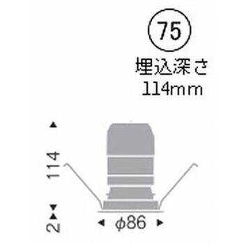ベースダウンライト ブラックコーン C100/C150 遠藤照明(ENDO) 【通販