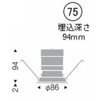 ベースダウンライト 白コーン C50 ENDO(遠藤照明)