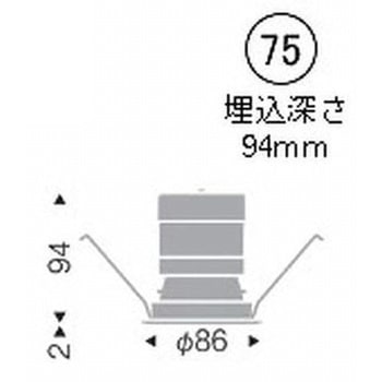 ベースダウンライト 白コーン C50 ENDO(遠藤照明)