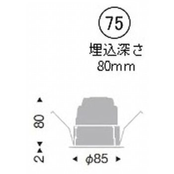 ベースダウンライト 白コーン 900/1200/1600TYPE ENDO(遠藤照明)