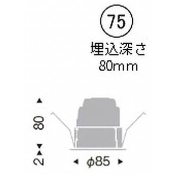 ベースダウンライト 白コーン 900/1200/1600TYPE ENDO(遠藤照明)