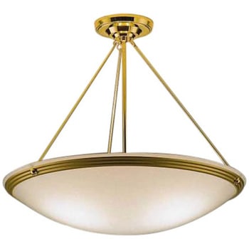 ERG5244KB �V�[�����O���C�g ���{�� ENDO(�����Ɩ�) Fit/Fit Plus���������Ή� 50645430