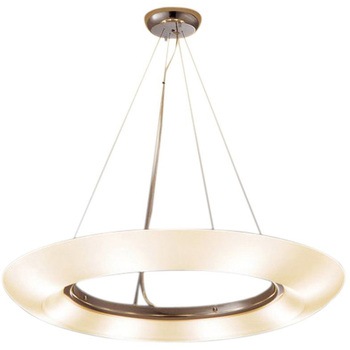 ERP7232SB �y���_���g���C�g ���C���[�A�W���X�^�[�t ���{�� ENDO(�����Ɩ�) Fit/Fit Plus���������Ή� 50646114